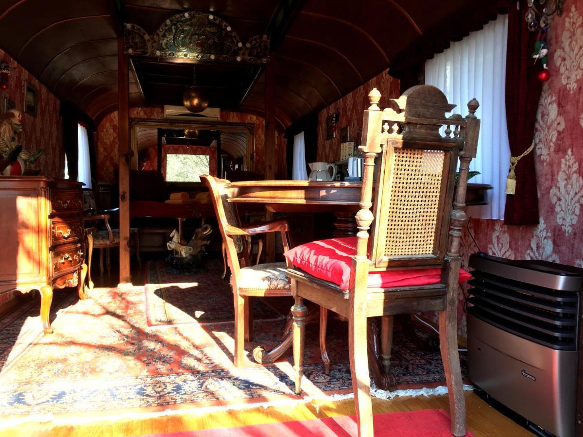 Historischer Zirkuswagen Mit Terrasse Und Blick Ins Gruene 위첸하우젠 외부 사진