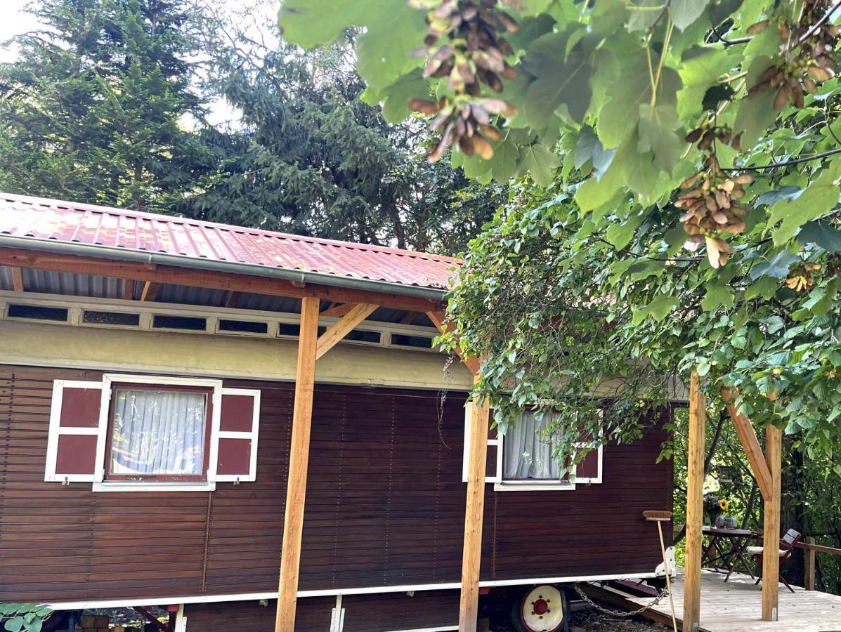 Historischer Zirkuswagen Mit Terrasse Und Blick Ins Gruene 위첸하우젠 외부 사진